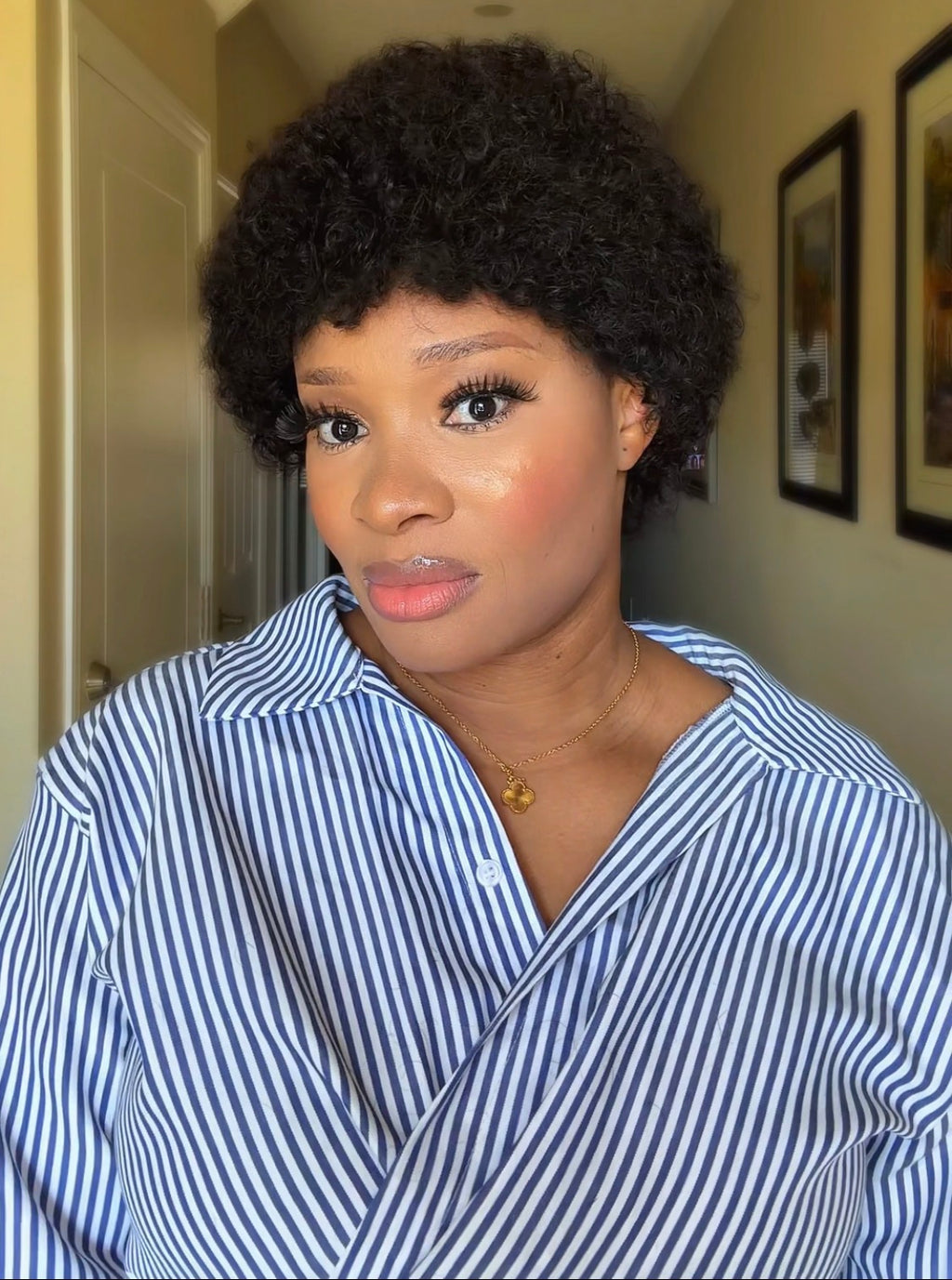 Afro Curly/Kinky Wig
