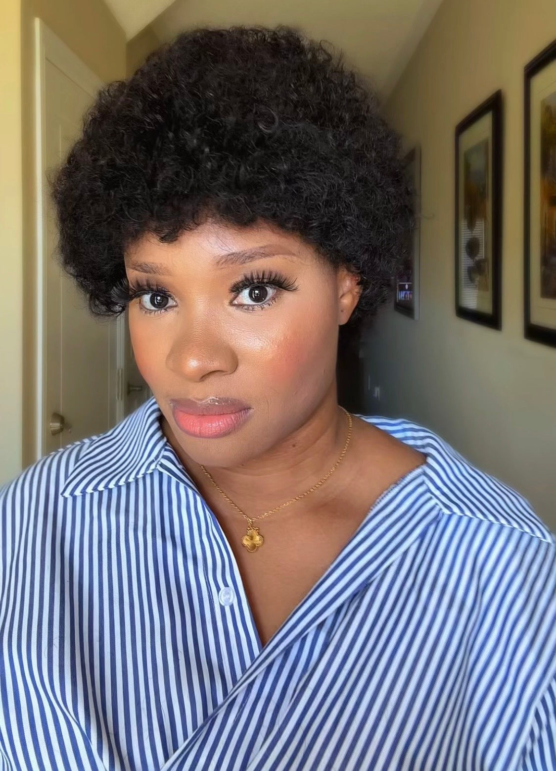 Afro Curly/Kinky Wig