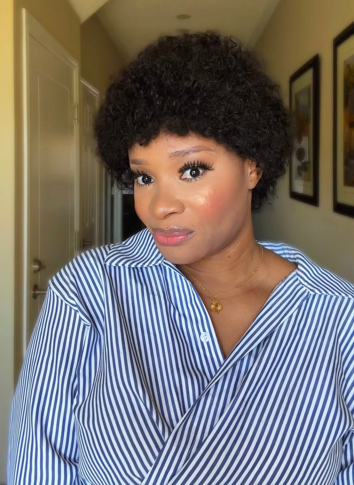 Afro Curly/Kinky Wig